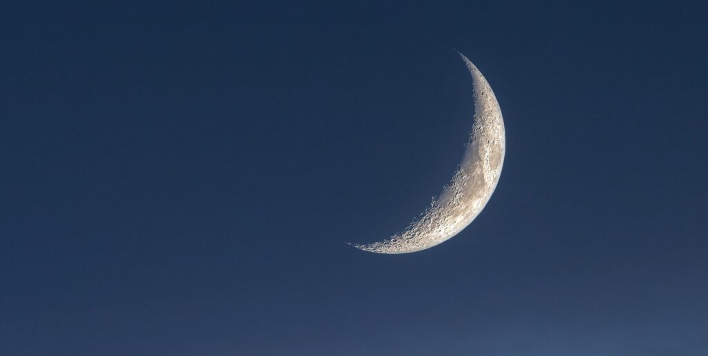 kanenori-moon-7362632